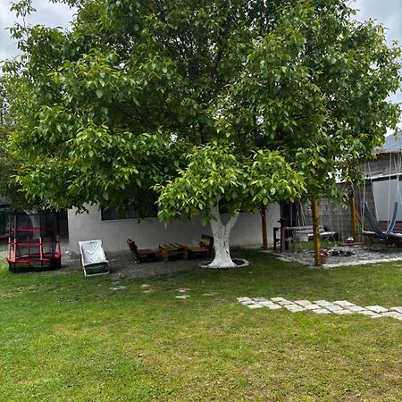 Kesi'S House Villa Borjomi ภายนอก รูปภาพ