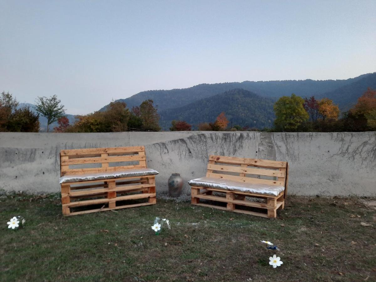 Kesi'S House Villa Borjomi ภายนอก รูปภาพ