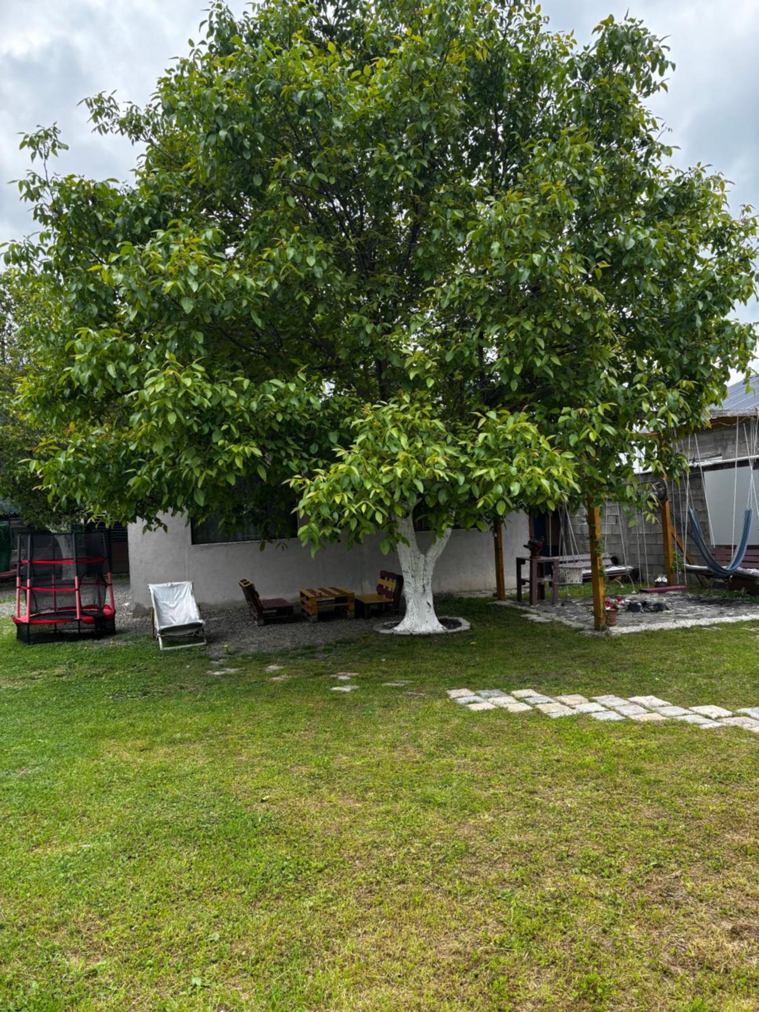 Kesi'S House Villa Borjomi ภายนอก รูปภาพ